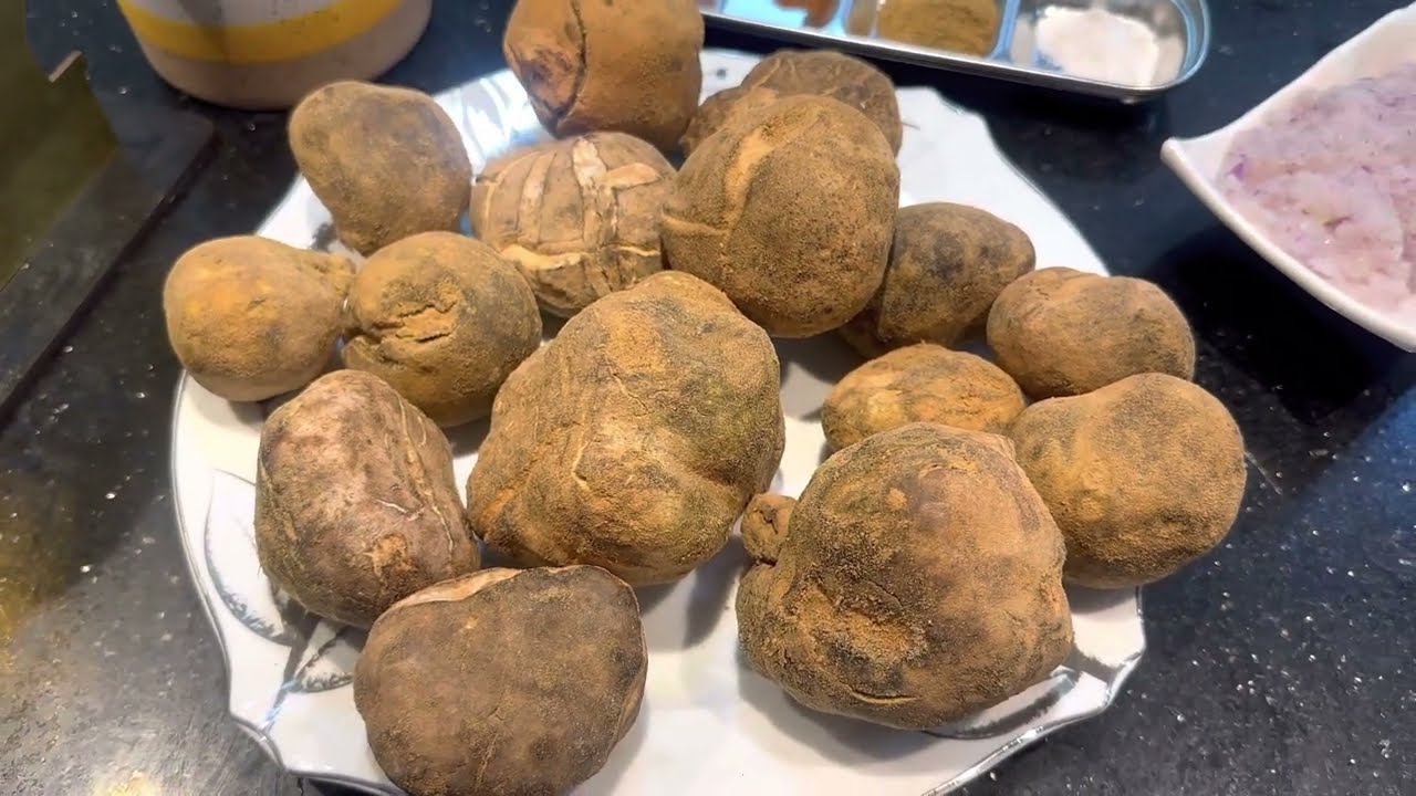 الكمأة (الترفاس) على اصوله👌les truffes