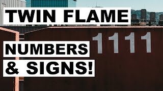 Twin Flame NUMBERS & SIGNS?!?! 🔢🤪🆘🤔