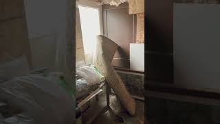 Off Grid Studio Pt 144 New Adjustments 💪‼️🐐For This Salavage Build