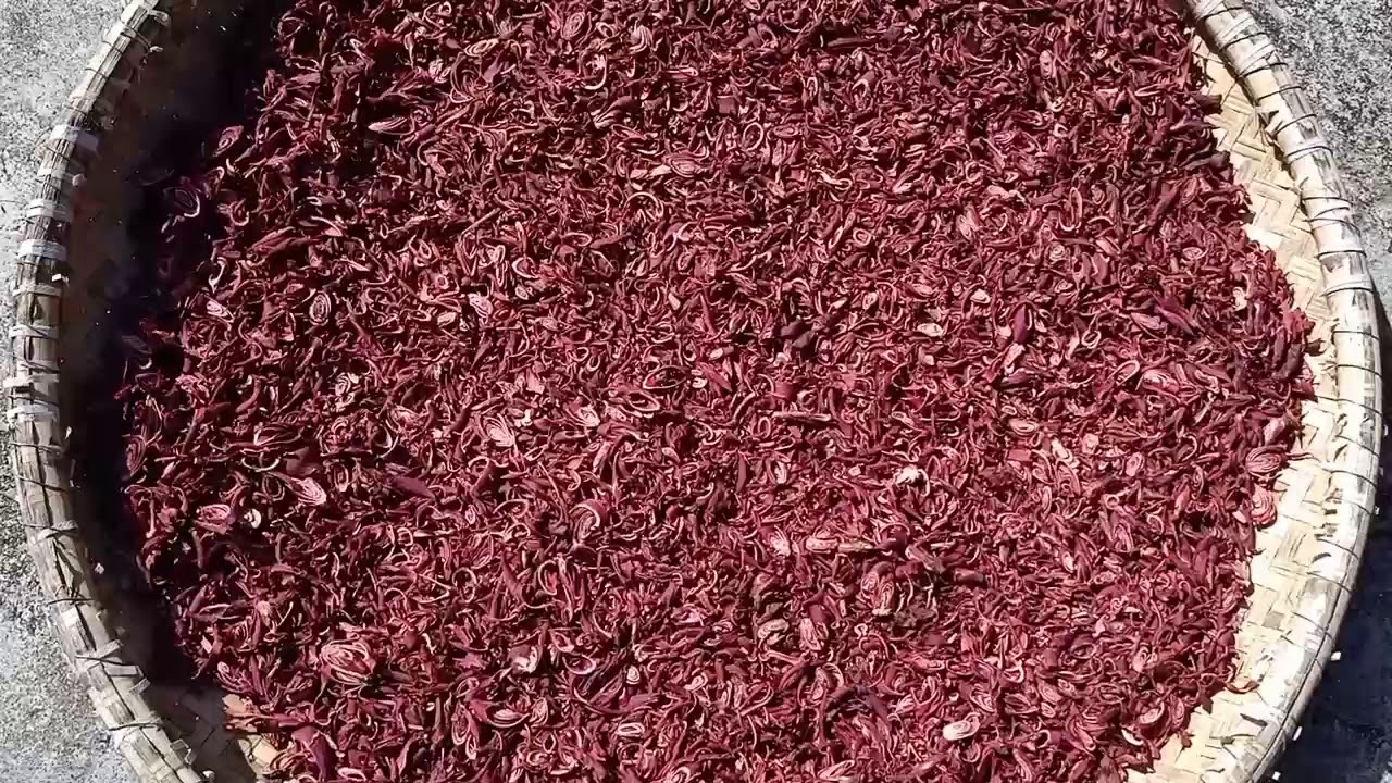 KHASIAT BAWANG DAYAK 