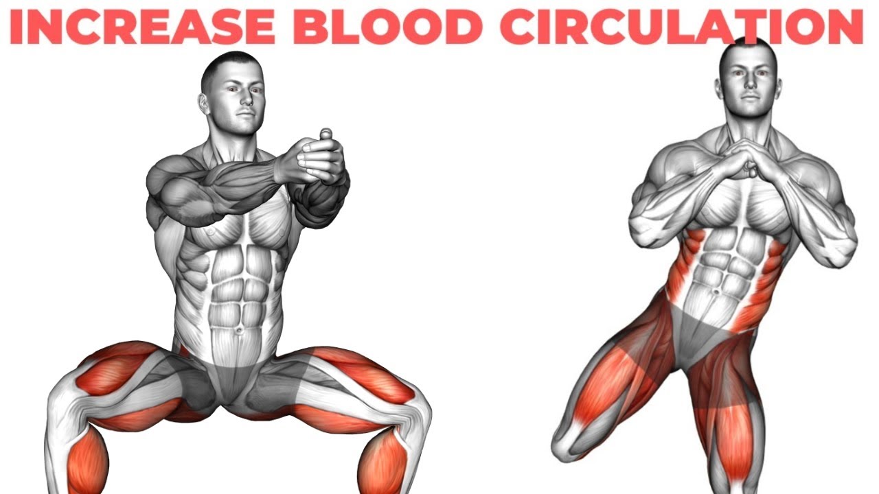 Pelvic Floor Exercises To Increase Circulation to Pelvic Region YouTube