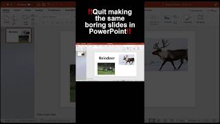 Stop making boring slide in PowerPoint instead try this!🤯 #powerpoint #reindeer #powerpointdesign