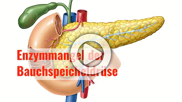 Was schadet der Bauchspeicheldrüse am meisten?