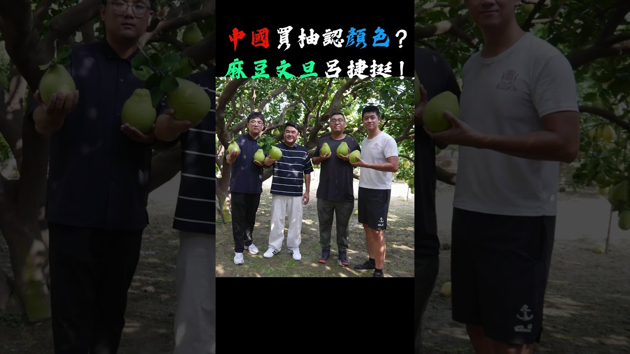 中國“柚”出手了,台灣柚子自己救 縮圖