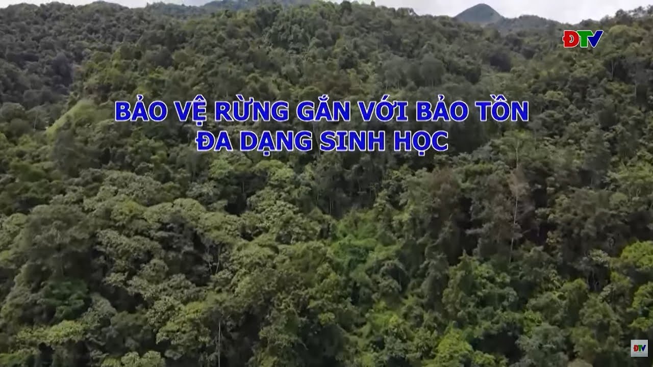 CHI TRẢ DỊCH VỤ MÔI TRƯỜNG RỪNG NGÀY 21/12: Bảo vệ rừng gắn với bảo tồn đa dạng sinh học