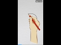 How to Draw Dracula Simple Step by Step Tutorial for Beginners #Draculadrawing #calming #viralshorts