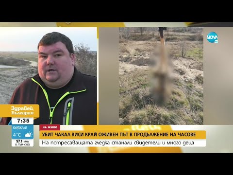 Видео: Спално бельо от чакъл (34 снимки): идеи за чакълено легло с камъни. Как да го направите сами? Избор на декоративен чакъл за цветни лехи