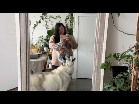 Cozy family day: netflix, baby cuddles, and puppy love