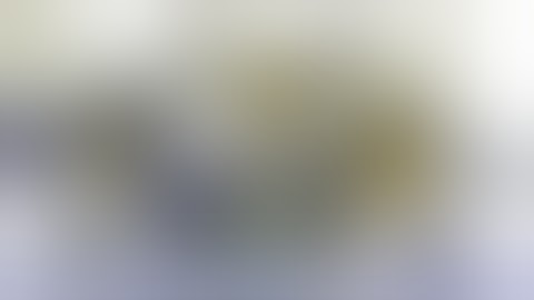 Badcube Old Timer Evil Bug Corps Hypno / Insecticon Bombshell