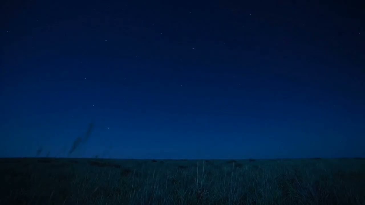 (NO ADS) Fall Asleep in 3 Minutes 🌙 Clear Night Savannah Sky for Deep Sleep & Insomnia Relief