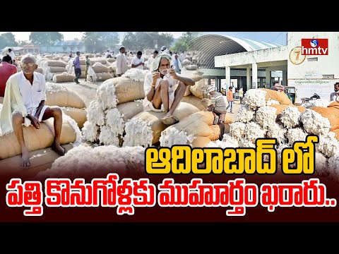ఆదిలాబాద్ లో పత్తి కొనుగోళ్లకు ముహూర్తం ఖరారు..| Cotton Procurement In Adilabad | hmtv