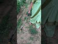 अनचाही घास को हटाया जा रहा है #farmingjyotivlogs #trading #farming #reels #sorts #kisan #tractor ☘️👌