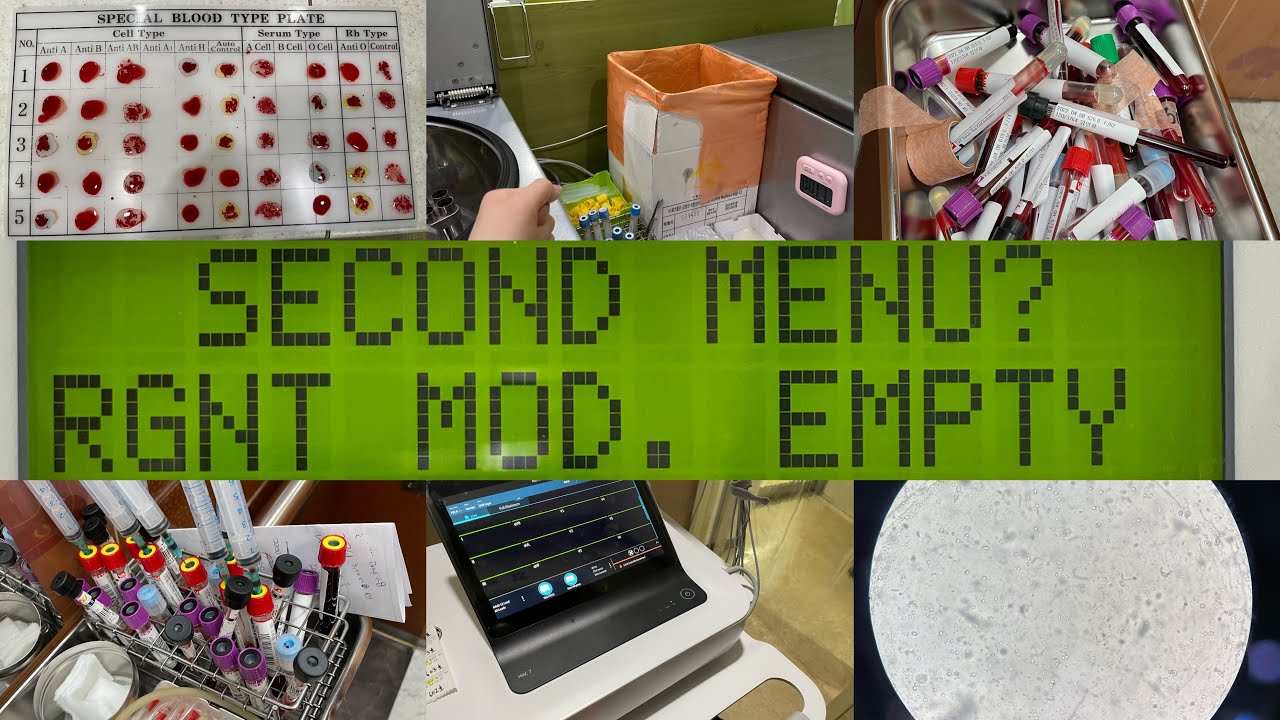 임상병리사 vlog | 당직| 임병| 임상병리과 | 종합병원