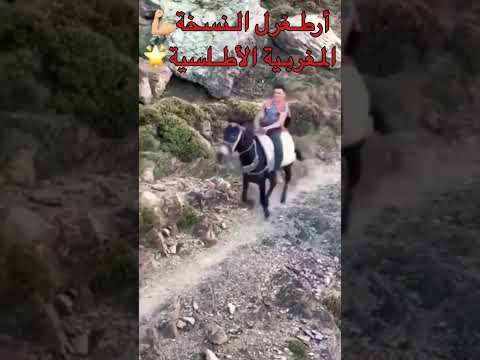 ارطغرل النسخة لمغربية الاطلسية اكسبلور الجزائر المغرب لايك  1000 متابعه