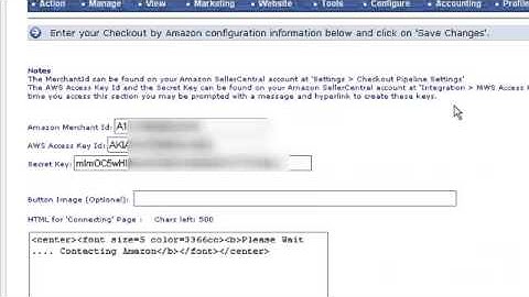 How to Set Up Amazon Payments on your Website