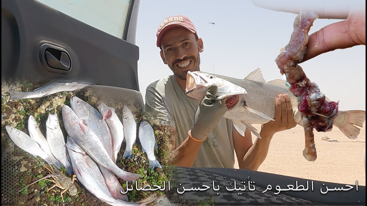 Cap barbas lamhiriz - احسن الطعوم تأتيك باحسن الحصائل من كاب بارباص