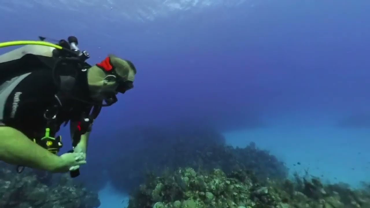 DD6 Grand Cayman Eagle Ray Rock 4