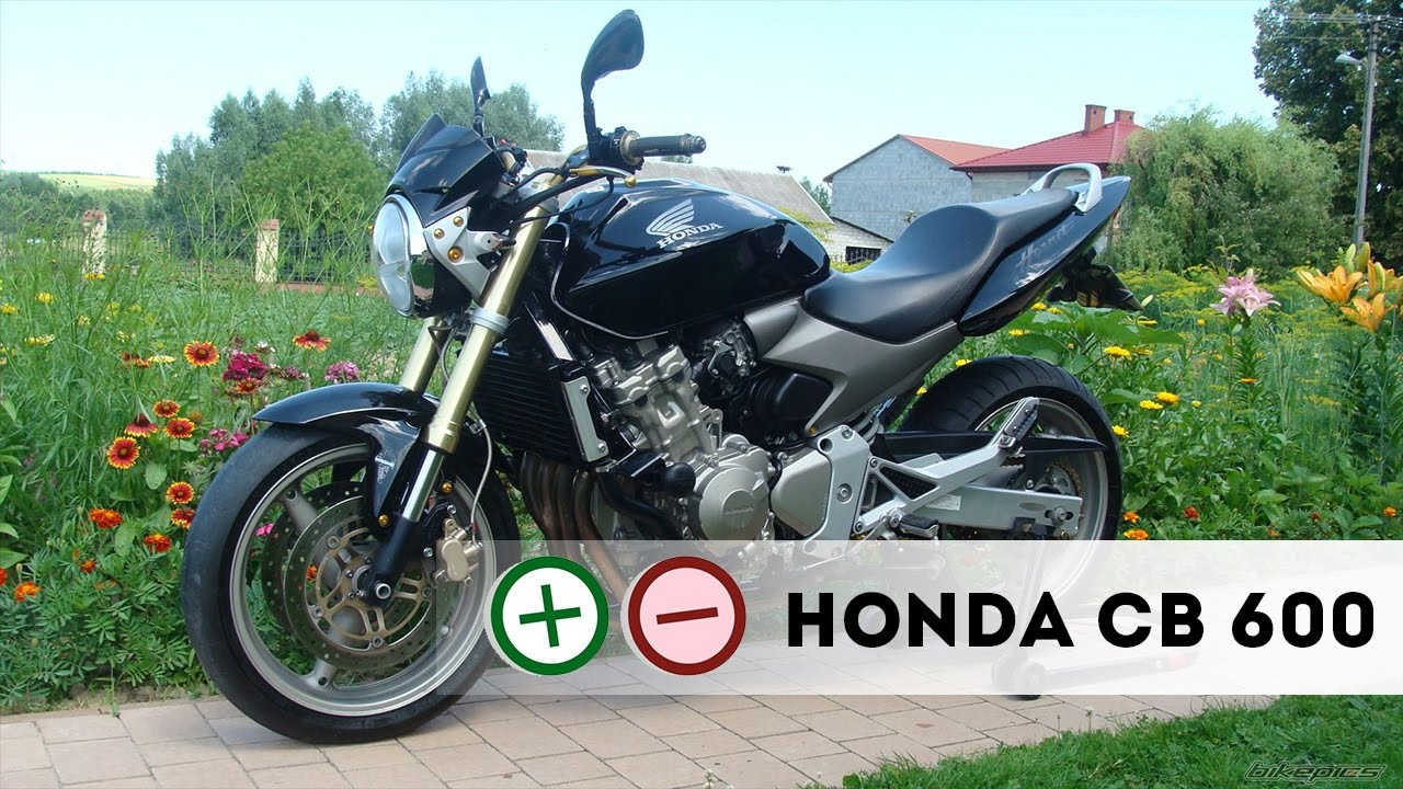 Honda CB 600 Плюсы и Минусы YouTube