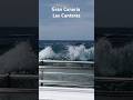 GuideCanarias #shorts