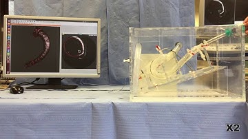 Registration-Free Simultaneous Catheter and Environment Modelling (MICCAI 2016)