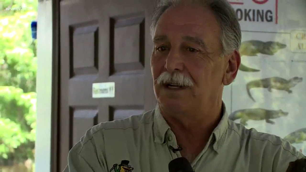 Today's Special - Louisiana Swamp Tour