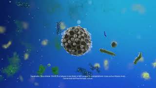 Lysol Air Sanitizer | Kills 99.9% of Airborne Viruses and Bacteria screenshot 5
