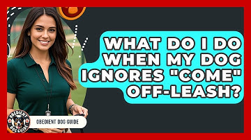What Do I Do When My Dog Ignores "Come" Off-leash? - Obedient Dog Guide