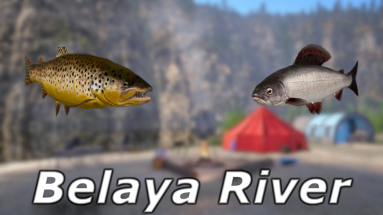 Belaya River Grayling / Lipienie brown trout Pstrąg Russian