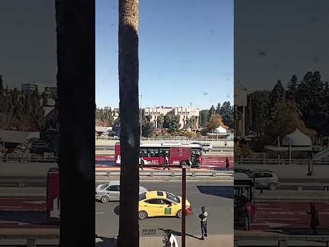 الجامعه الاردنيه شارع الجامعه 