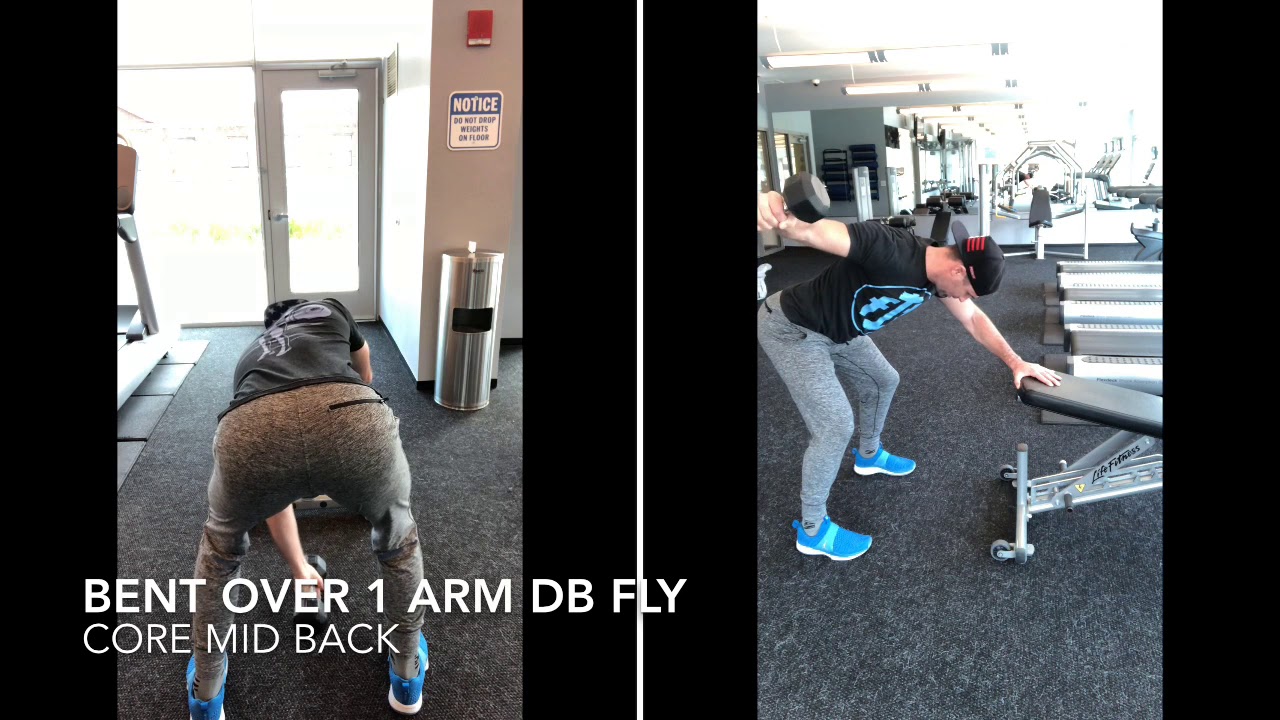 Bent over 1 arm DB fly - YouTube