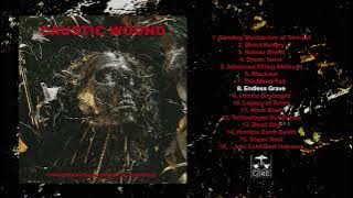 CAUSTIC WOUND - Grinding Mechanism Of Torment (full album stream)