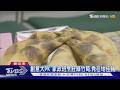 糖度最高達6.6! 新北泰山辦綠竹筍評鑑賽 被譽為「綠鑽石」｜TVBS新聞 @TVBSNEWS01