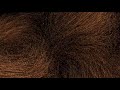 ParticleS BLACK Screen 2021 4K ANIMATION