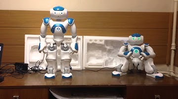 NAO voice control