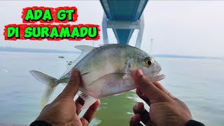 MANCING DI SURAMADU DAPAT IKAN GT?? 