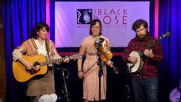 The Side Hustlers perform “Lazy John” at The Black Rose Acoustic Society
