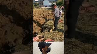 Jim Respect   respect Respect