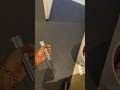 Trying to add more tech to my flipping