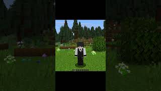 How To Join The Best Minecraft SMP | How To Join The Soulpet SMP |