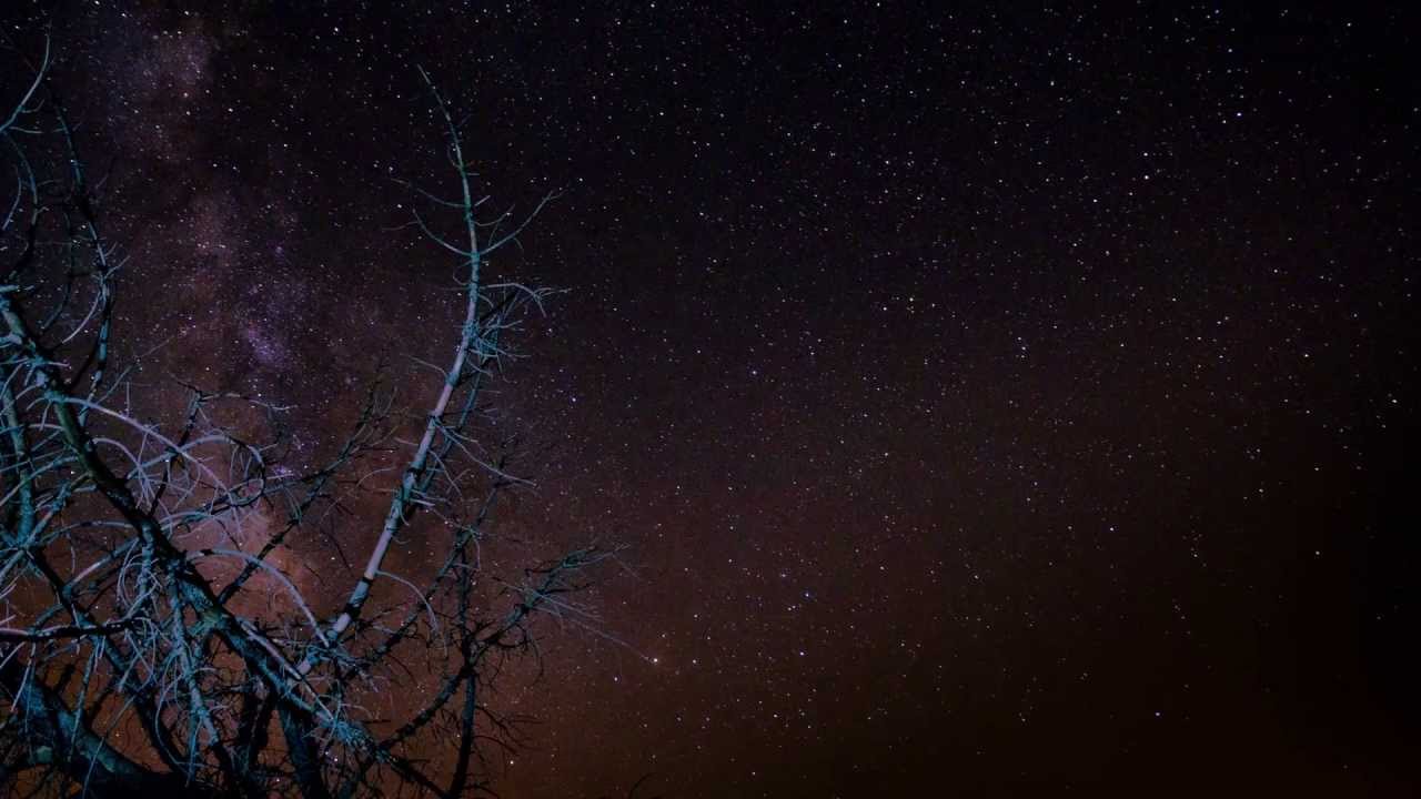 Demo Reel