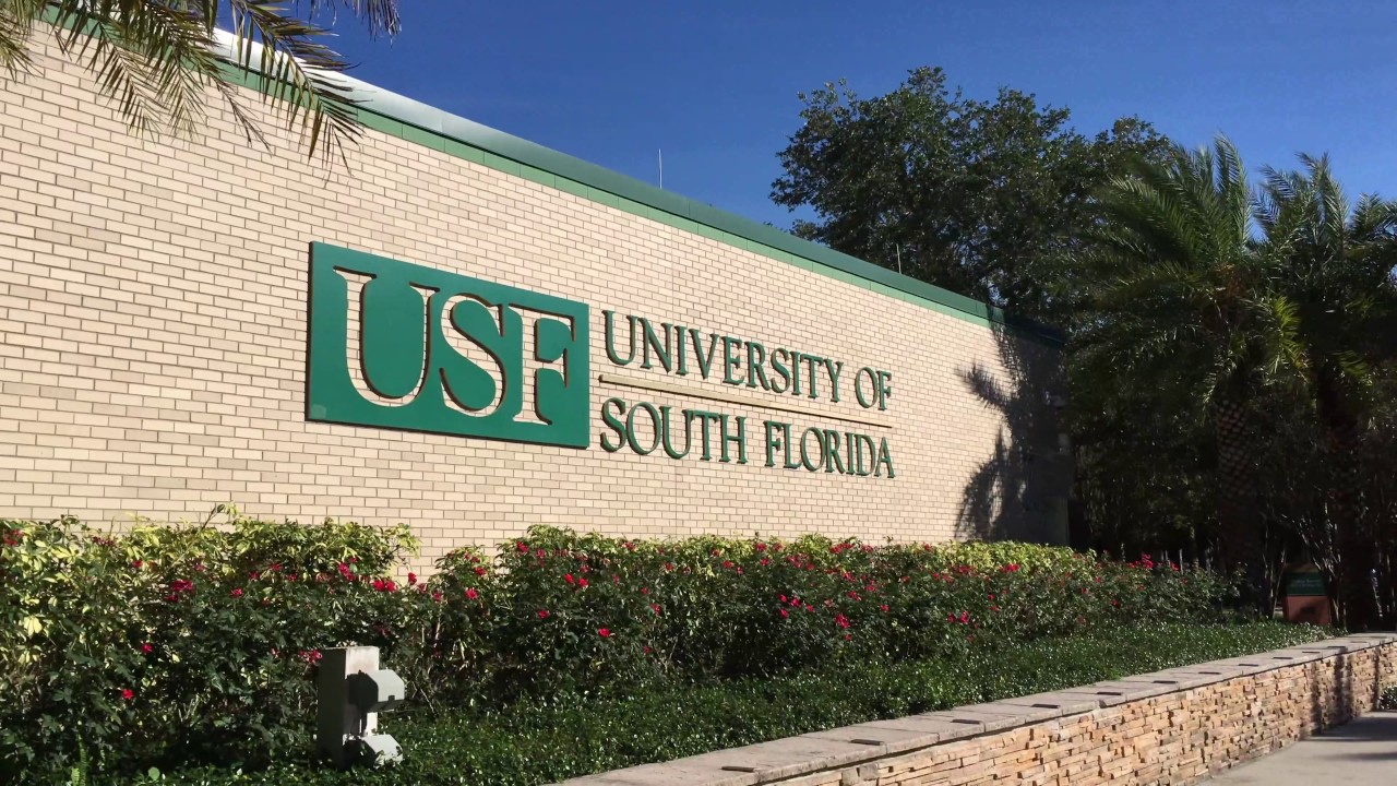 university of south florida campus tour