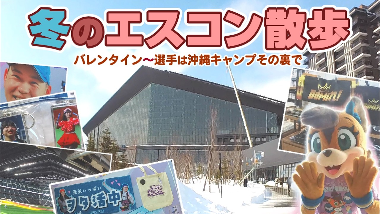 【バレンタイン】冬のエスコン散歩　#lovefighters #ポリー #北海道日本ハムファイターズ #日ハム #エスコンフィールド #Fビレッジ #vlog #hokkaido #日ハム