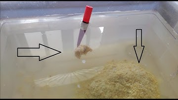 Cách làm mồi bột câu cá rô phi , cá chép , cá trôi | Phụ Gia Mồi Câu Quan Trọng Nhất