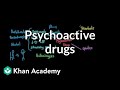 Overview of psychoactive drugs  processing the environment  mcat  khan academy