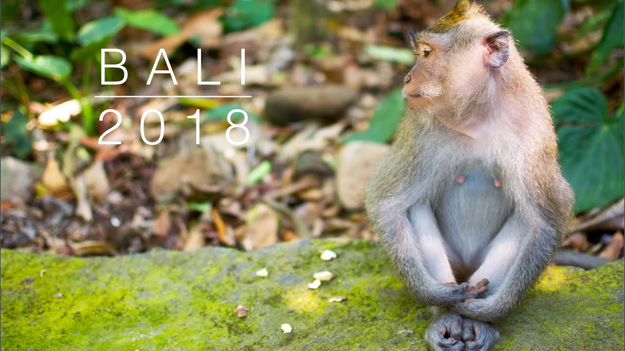 Bali | Ubud - 2018