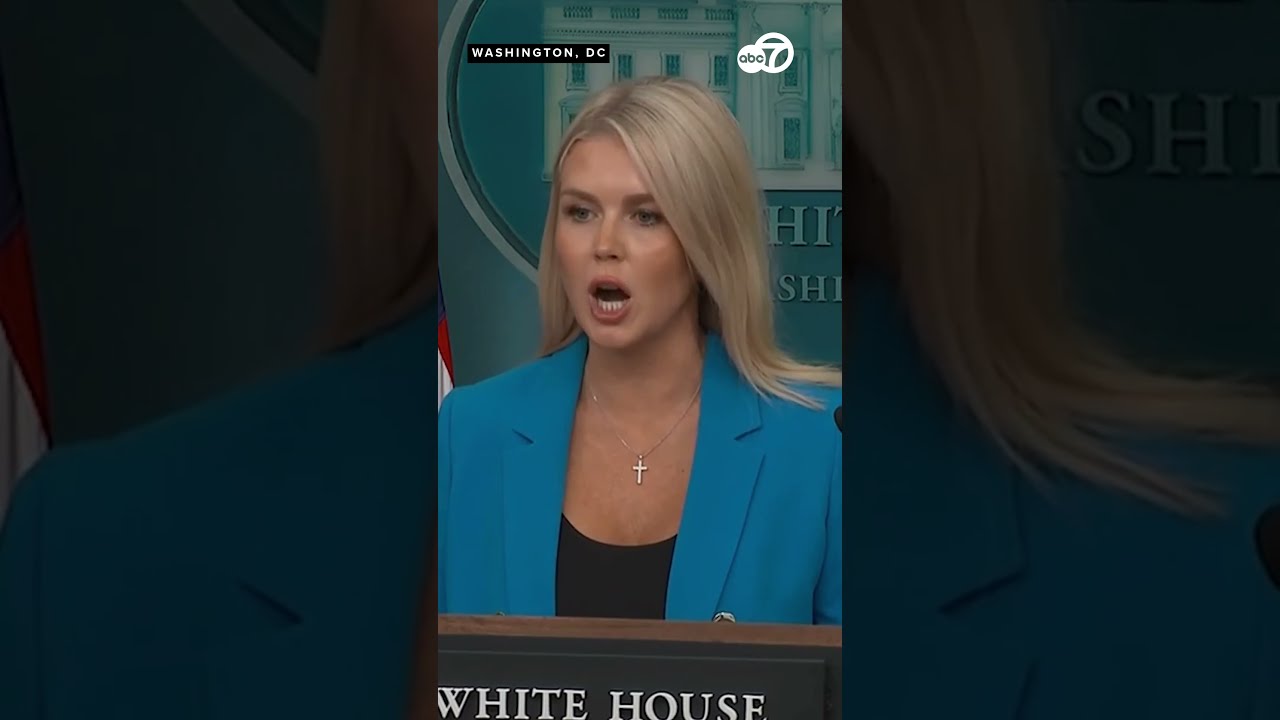  What A Stupid Question Karoline Leavitt Reacts To Reporter S About Parade Protests