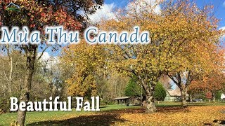 Mùa Thu Canada Cảnh Đẹp Tuyệt Vời | Beautiful Fall In Canada