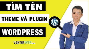 Cách Tìm Tên Theme Và Tên Plugin Website Wordpress Đang Sử dụng | Văn Thế Web