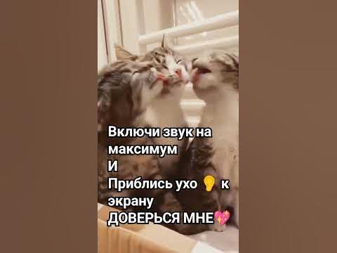 ДОВЕРЬСЯ МНЕ💖💗💞 - YouTube
