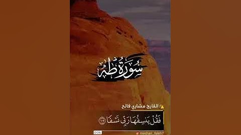 صوت خاشع يفوق الخيال للقارئ مشاري فالح